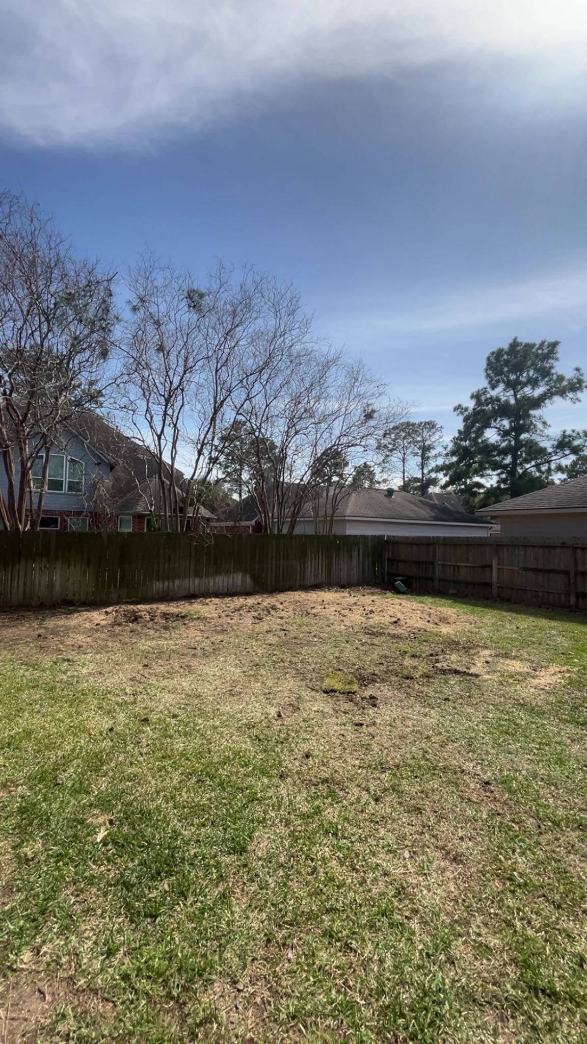 tree service in Houston