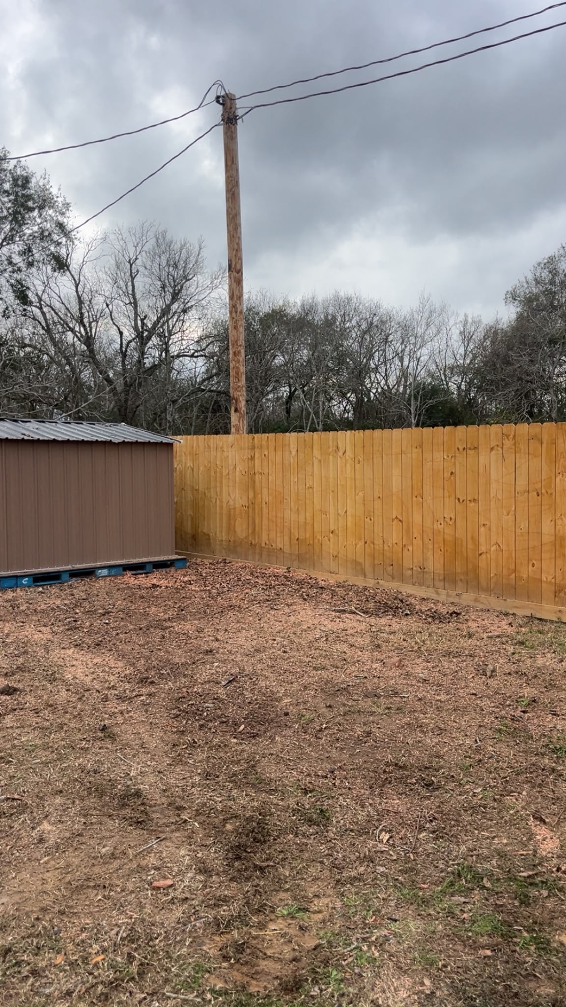 Lot Clearing in Katy, TX