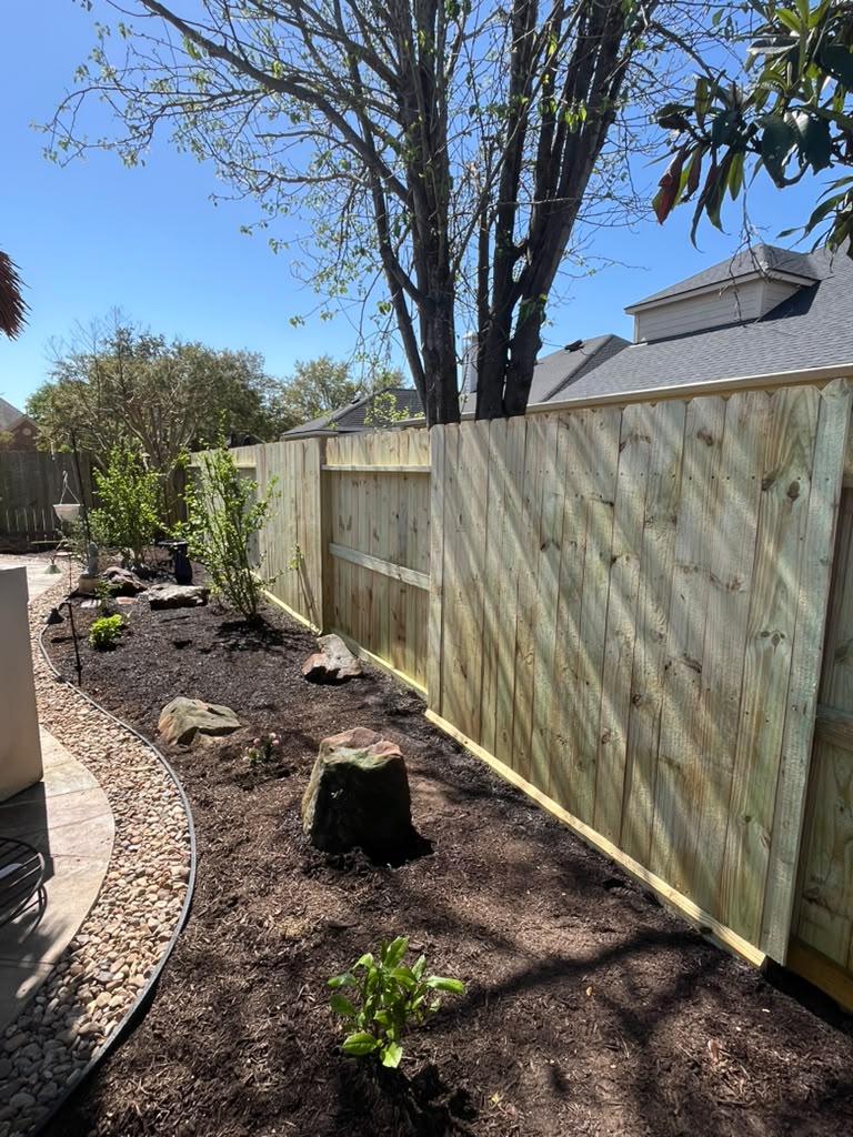 tree service in Katy